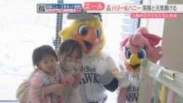 ホークスのハリーとハニーが小児病棟を訪問　子どもたちに応援グッズをプレゼント　福岡