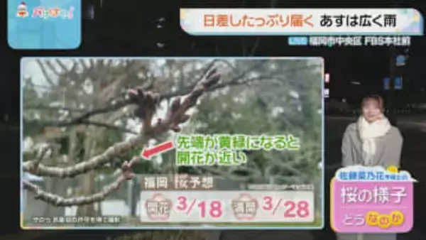 佐藤気象予報士のお天気情報　バリはやッ!　3月5日