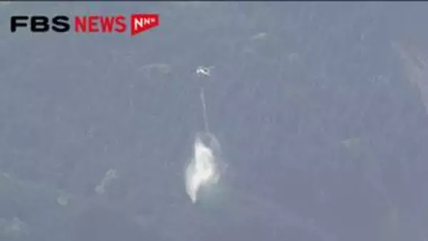 【速報】一夜明けて消火活動を再開　消防ヘリや自衛隊が出動　久留米市の山林火災　福岡