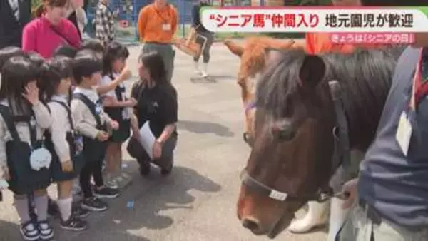ようこそお馬さん「対州馬」2頭が仲間入り　八ちゃん堂 大牟田市動物園・福岡