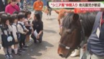 ようこそお馬さん「対州馬」2頭が仲間入り　八ちゃん堂 大牟田市動物園・福岡