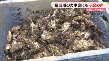 【台風30号】最盛期のカキ「停電したら…」漁港では　福岡