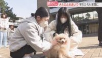 「柔らかい、温かい、もふもふ」大学キャンパスで犬とふれあうアニマルセラピー　学生が企画　福岡