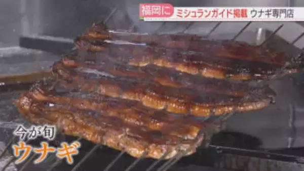 【ウナギ】ミシュラン掲載の名古屋の有名店が福岡に　市内の専門店は1年で10店以上増加　背景は
