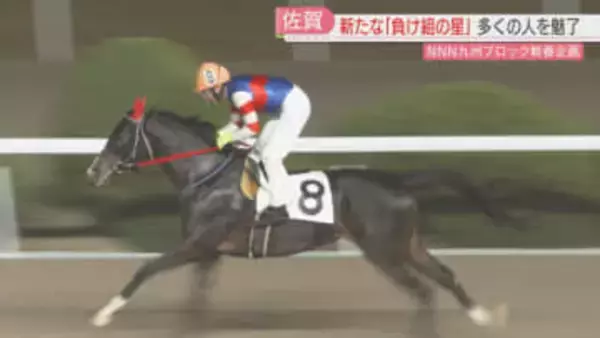 一度も勝ったことがない馬「パドマーワト」デビュー5年で連敗中　佐賀競馬でことしも走る