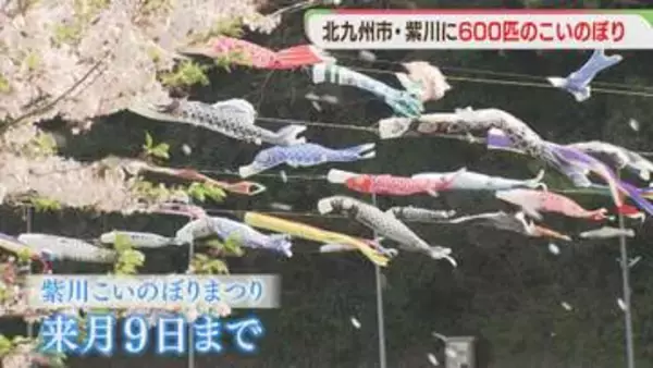 「こどもの日」を前に北九州市の紫川に600匹のこいのぼり