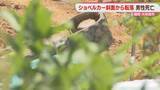 「ショベルカーが斜面から転落　運転していた46歳の男性が死亡　資材置き場の整地作業中　福岡」の画像1
