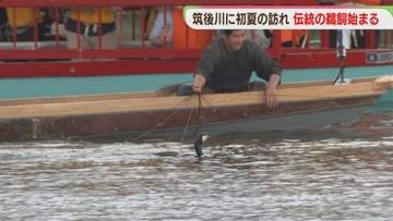 初夏の訪れ　伝統の漁法「鵜飼」筑後川で始まる　屋形船は6月5日から　福岡