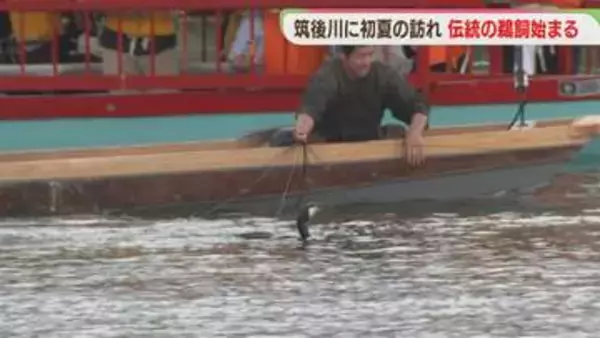 初夏の訪れ　伝統の漁法「鵜飼」筑後川で始まる　屋形船は6月5日から　福岡