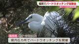「10日から「愛鳥週間」　福岡市の公園でバードウオッチング体験会　参加者「鳥との一期一会が楽しい」」の画像1