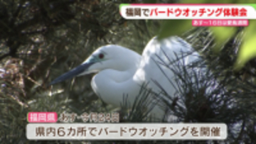 10日から「愛鳥週間」　福岡市の公園でバードウオッチング体験会　参加者「鳥との一期一会が楽しい」