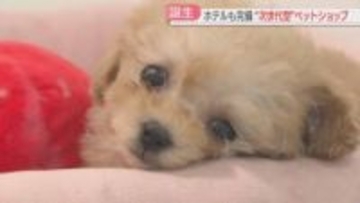 店内に専用キッチン　ペットショップがオープンへ　福岡