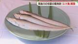 「筑後川の初夏の風物詩「エツ漁」解禁　包丁始めの儀　豊漁と安全を祈願　福岡」の画像1