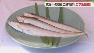 筑後川の初夏の風物詩「エツ漁」解禁　包丁始めの儀　豊漁と安全を祈願　福岡