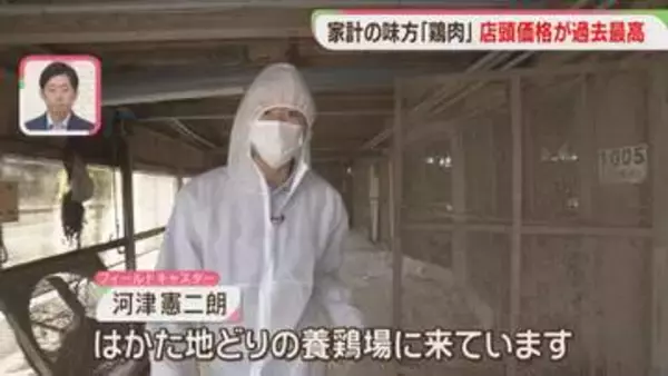 家計の味方「鶏肉」なぜ値上がり？　養鶏場はエサ代高騰に悩み　福岡