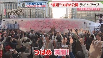 「つばめ、満開」博多駅前でライトアップ始まる