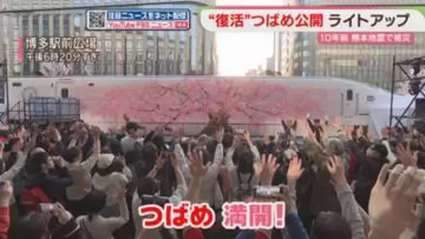 「つばめ、満開」博多駅前でライトアップ始まる