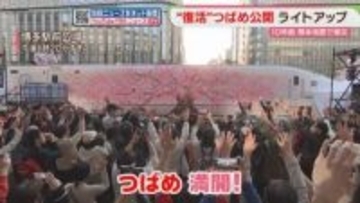 「つばめ、満開」博多駅前でライトアップ始まる