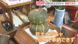 「【異変】冬至に「巨大カボチャ」奉納できず　400年の歴史で初めての事態に　福岡」の画像1
