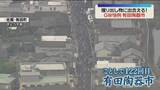「【GW】掘り出し物を求めて！　有田陶器市スタート　100万人以上の人出を見込む　佐賀」の画像1