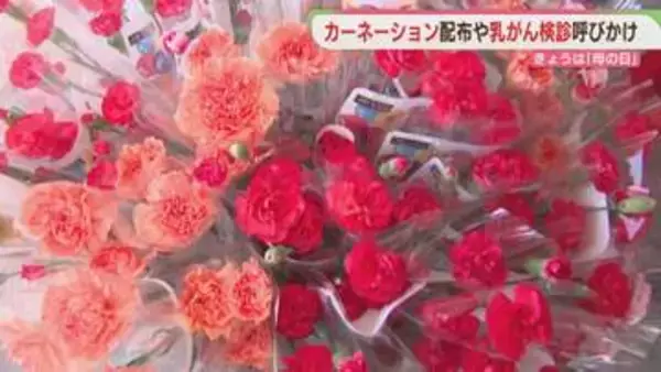 母の日にカーネーション無料配布　福岡・うきは市