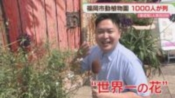 イギリスのコンテストで最優秀賞「世界一の花」咲きました　福岡市植物園