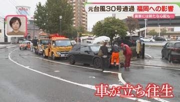 冠水で車が立ち往生「元台風30号」福岡での影響は　キャベツ農家は新たな不安も