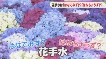 花手水の読み方「はなてみず」「はなちょうず」どっち？　全国の神社・寺・本庁に聞きました