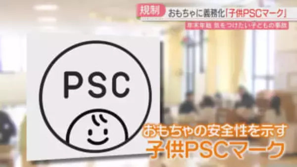 おもちゃの安全性を確認する「子供PSCマーク」3歳未満向けに義務化　マークがなければ販売できず