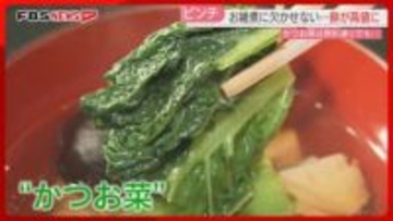 福岡の雑煮に欠かせない「かつお菜」収穫が最盛期　寒さが増し順調に成長