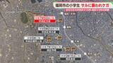 「小学生が襲われケガ　福岡市中央区でサルの目撃続く　南区でも通報」の画像1
