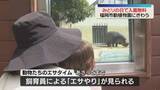 「開園前に1000人が列　みどりの日で入園無料の動植物園にぎわう　福岡市」の画像1