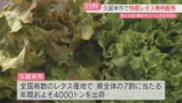 「春のサニーレタスの日」全国有数のレタス産地　久留米市で無料配布に行列　福岡