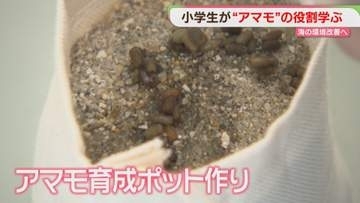 「海の環境を守っていきたい」小学生がアマモの役割を学ぶ　福岡