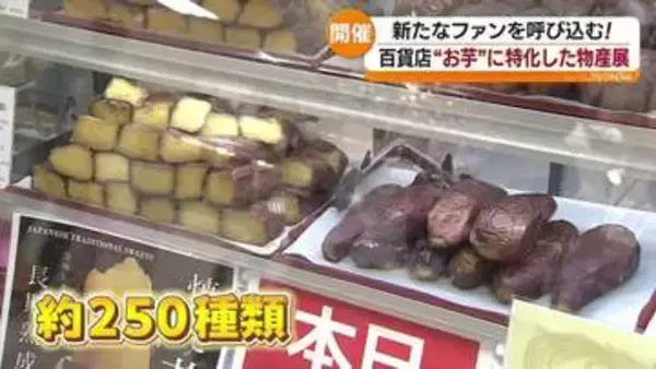 「おもしろい切り口の催事を」USUIのお芋マーケットHOKU HOKU　福島