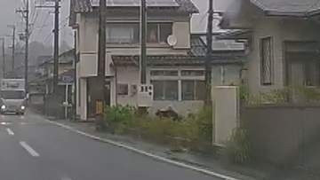 いわき市四倉町で目撃が相次いだクマ　捕獲に向けて11日から箱わななど設置