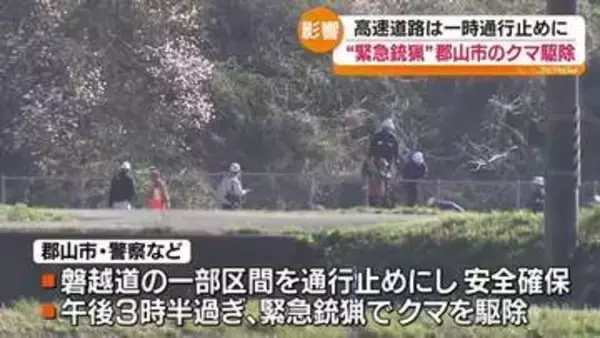郡山市の市街地に出没したクマ　緊急銃猟によって駆除　人や物の被害なし