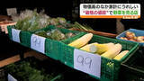 「「子どもに喜んでもらうのが一番嬉しい」野菜や果物を“破格”の値段で販売　福島」の画像1