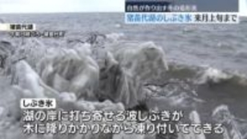 猪苗代湖で「しぶき氷」　自然が作り出す冬の造形美　３月上旬まで楽しめる　福島