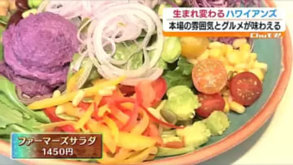 閉館せずに続々リニューアル！現代風にアレンジされた新生ハワイアンズ　福島