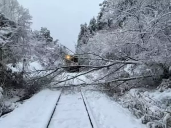 雪の影響で倒木か　会津鉄道の始発列車の運転士が発見　乗客にけがなし　福島