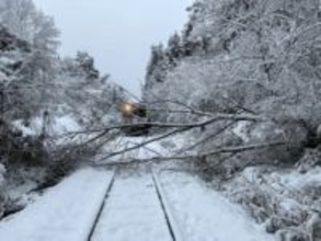 雪の影響で倒木か　会津鉄道の始発列車の運転士が発見　乗客にけがなし　福島