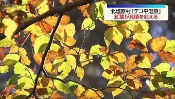 北塩原村「デコ平湿原」で紅葉が見頃　色鮮やかな秋の景色広がる・福島