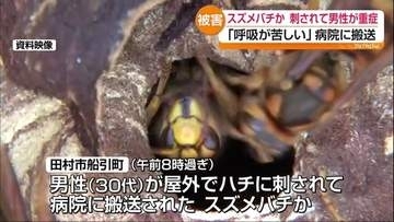 「呼吸が苦しい」スズメバチに刺されたか？男性が屋外でハチに刺され救急搬送　福島・田村