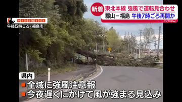 福島市松川町で木や街路灯が倒れる被害相次ぐ　強風の影響か　いずれもけが人なし