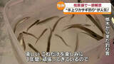 「「これだけを楽しみに1年間がんばってきている」桧原湖一部エリアでワカサギ釣り　福島」の画像1