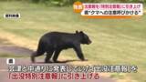 「「ツキノワグマ出没注意報」を「特別注意報」に　福島」の画像1