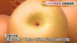 「いわき市で梨「豊水」の出荷始まる」の画像1