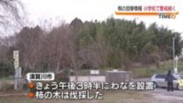 須賀川市の小学校向かいにある柿の木近く　熊目撃が相次ぐ　午後に柿の木を伐採