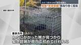 「熊被害が相次ぐ福島県　知事「緊急的な対策を進める」16日は初の緊急銃猟も」の画像1